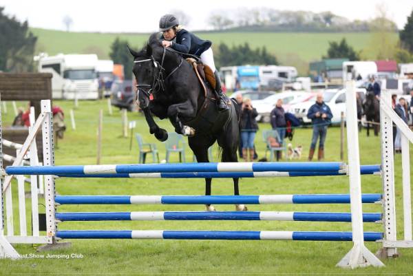 Eros at Redpost Show Jumping.