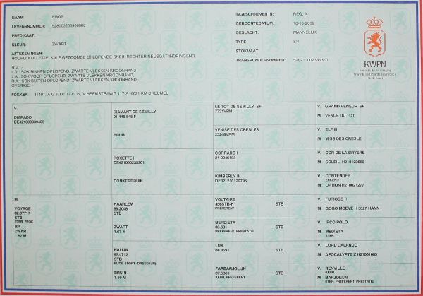 Eros Pedigree