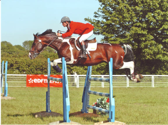 The stallion Phanten The stallion Phanten