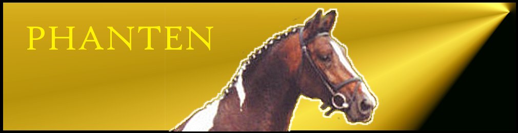 Coloured Stallions from Shovern Stud Coloured Stallions from Shovern Stud
